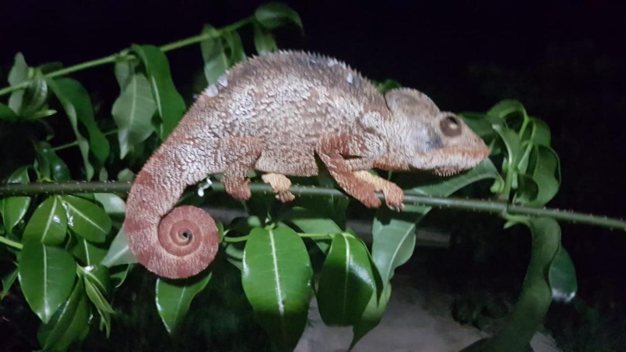 Sanjeela-Plage Coco Antsiranana Luaran gambar