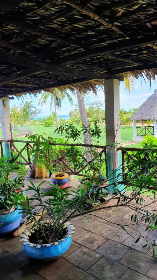 Sanjeela-Plage Coco Antsiranana Luaran gambar